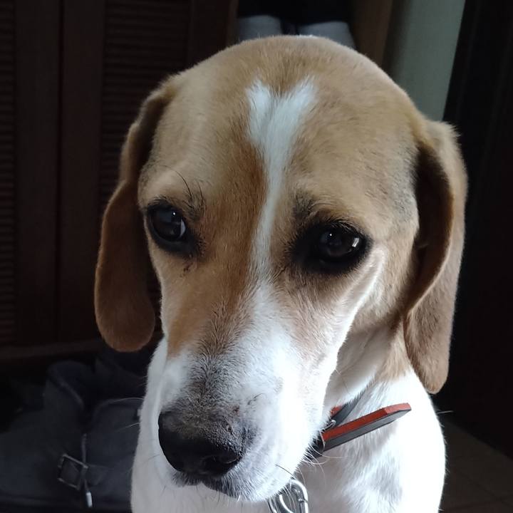 9d015dfb f960 480d a118 b67a6f9f0303 1626065194765