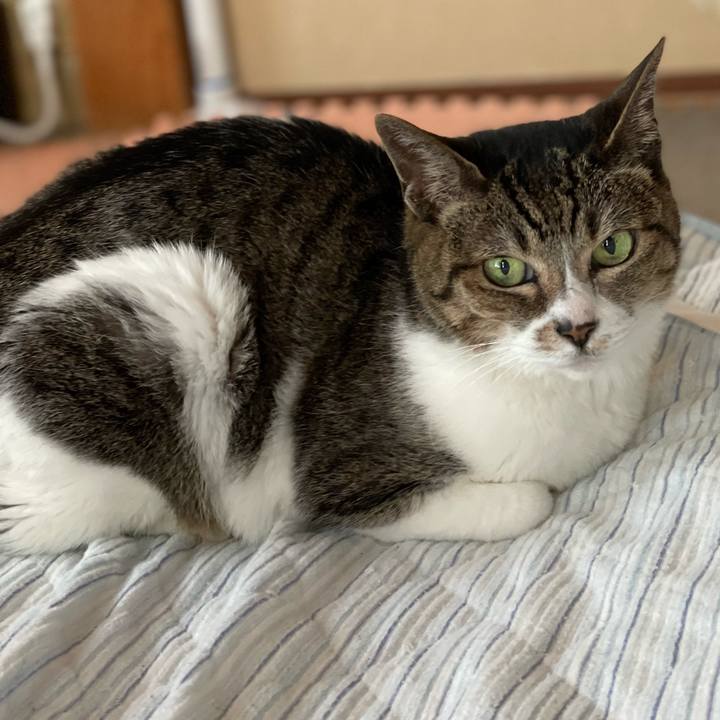 9d015fc7 2549 4e11 a55b 3cac338393d9 1654481315385