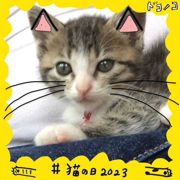 9d01619f 96b6 4d5f 95dd 01a7945fa472 1677013947416