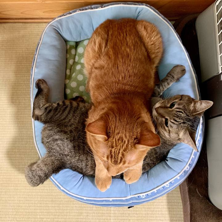 9d016229 2957 4b00 bd0a 1f0615a0d5e1 1654042139786