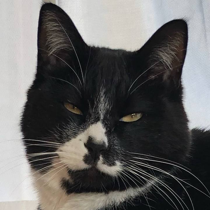 9d016475 699b 439b a01f 10135b36916f 1647677950361