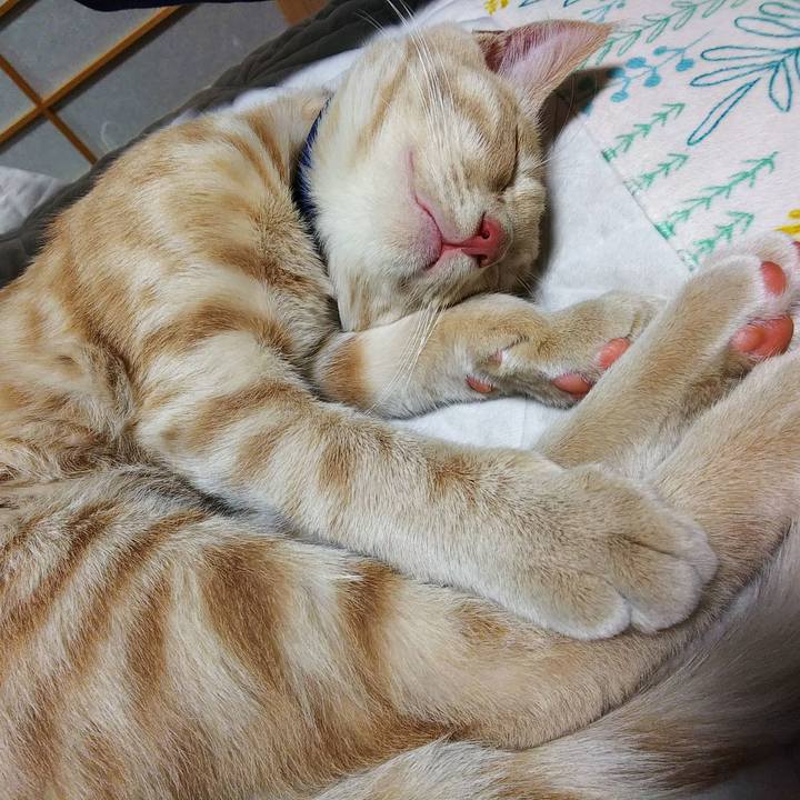 9d0188ed d4fe 4070 b11f 6379355eca4f 1544951177551