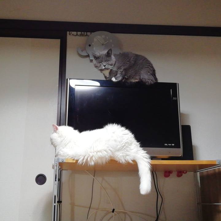 9d018ba8 9c1b 4f51 9a62 13f81f4f7c66 1722643220827