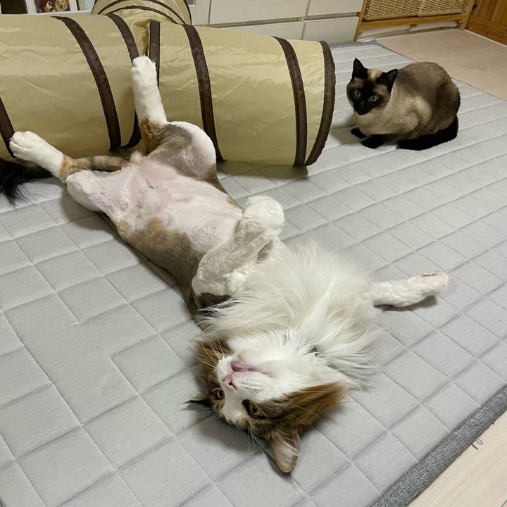 9d01a28e 610e 46f8 a86a eb86e6c6aa21 1751717018497