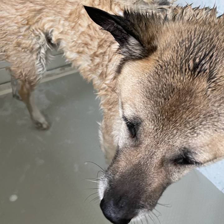 9d01ba36 f176 4379 ae3a a1088f57ebbf 1716636074196