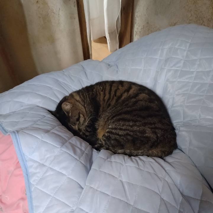 9d01cd60 e0e8 4093 819c cadf44086caf 1708042841022