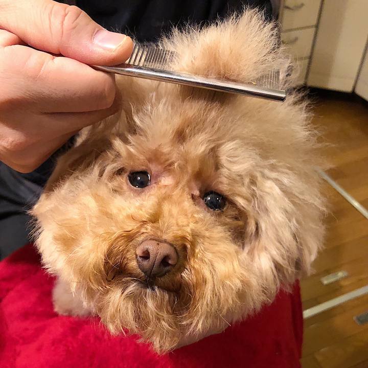 9d01fc3f 3770 467f b688 ce63165ecada 1551060191064