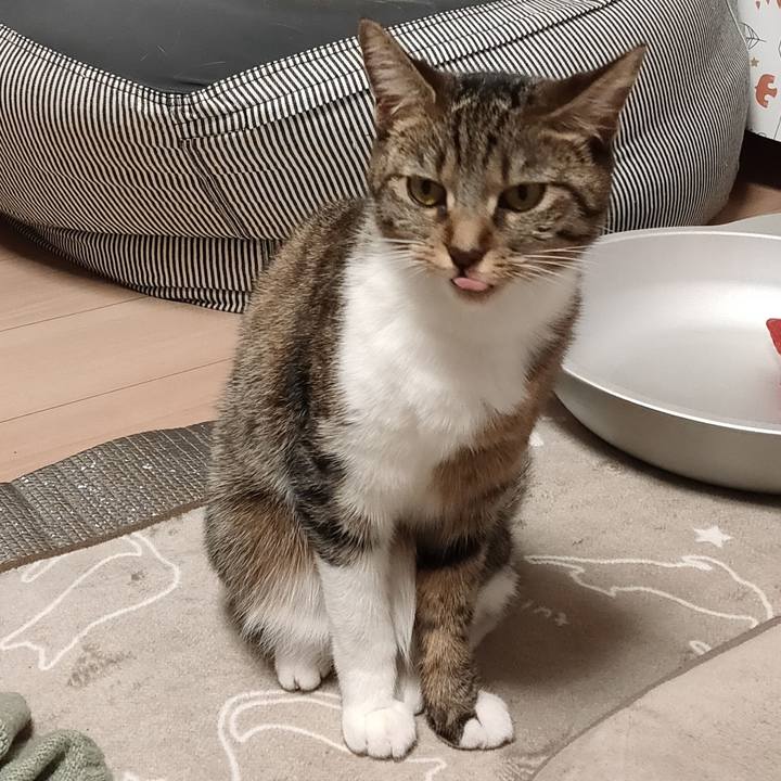 9d020200 c921 46f3 a00c e0d15eb270e8 1667822772375