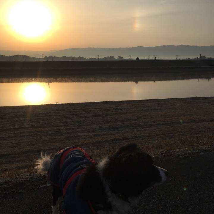 9d021693 ba89 42ee a906 3aa1bdce9ea0 1517525787134