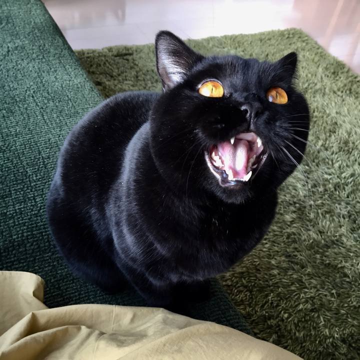 9d021771 ca70 42fa b30c 30e21c11ae7c 1517098572899