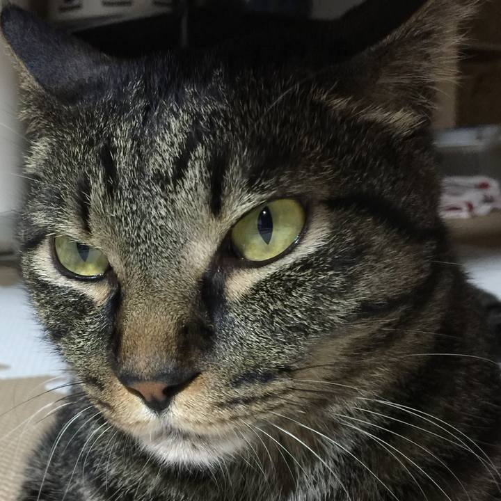 9d021d5a 382c 46a3 b6b6 2971e49cdd98 1529932505021