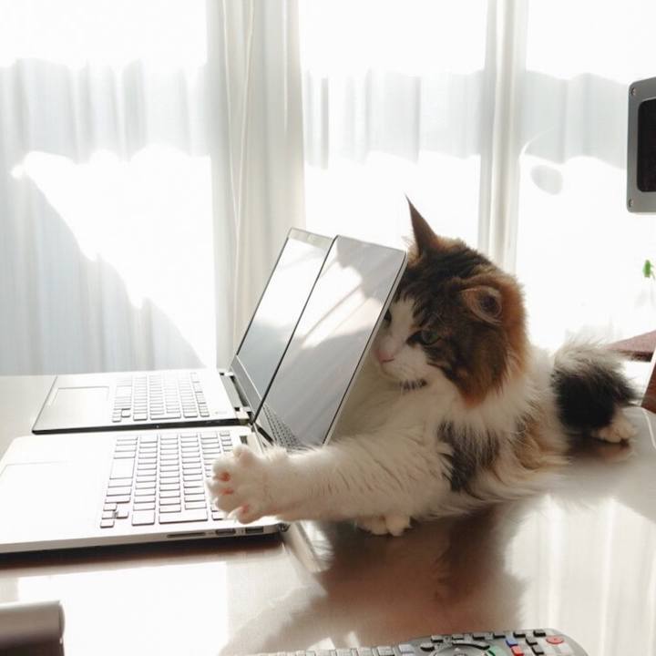 9d02381a 4f94 4e6e 90dd ba43a8750a40 1588865867870