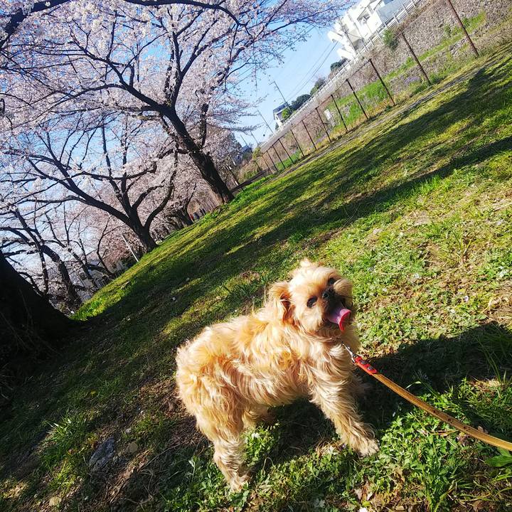 9d023c8b ecff 49ee 89d5 5f5b653eb004 1554352828034