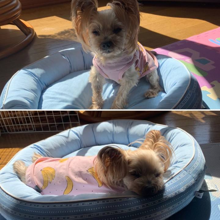 9d02986c 8eee 4dd9 81ba e9e6641860fb 1617789192028