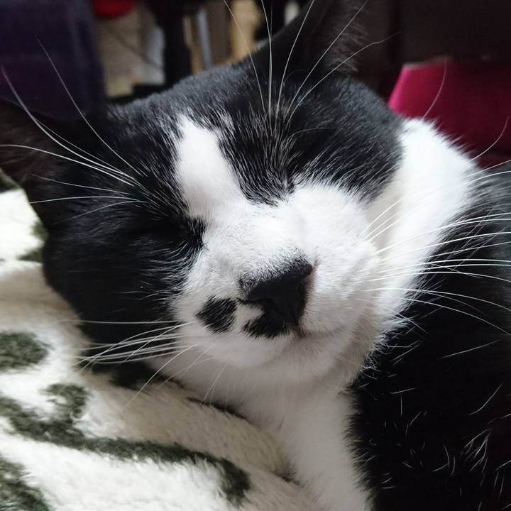 9d02a125 8f66 4039 8e1e d920633a593e 1513111960375