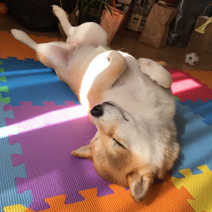 9d02b5c4 cc17 482e b804 73d3d123093e 1540173557533