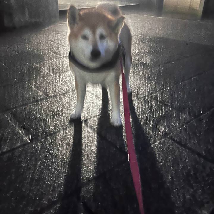 9d02c832 2767 4b87 b6c0 7c2136bc33c0 1720781144078