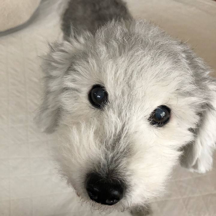 9d02e671 4494 4aa9 a6c6 eca04fb3d089 1600906986155