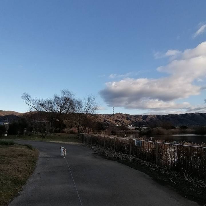 9d0301cf 50a5 4e55 b8c4 6b9e2a112ca0 1578644975493