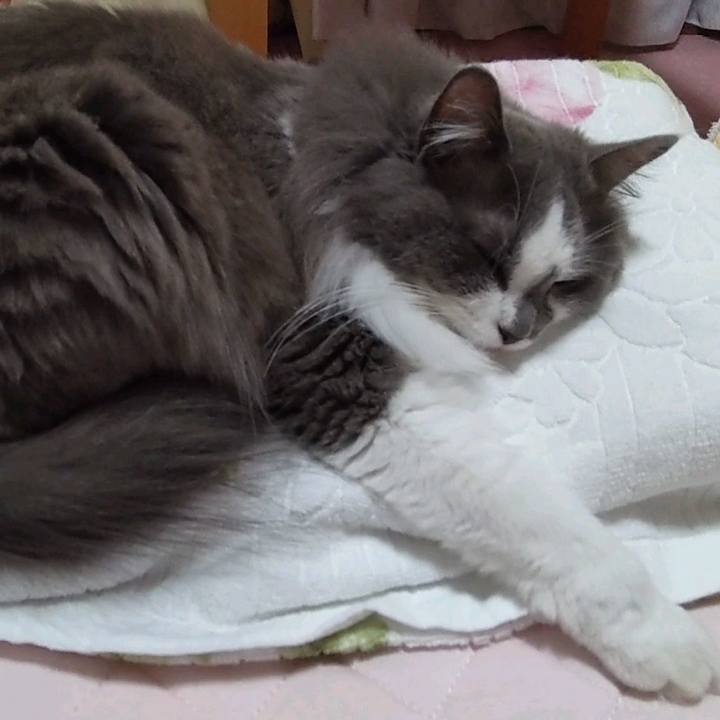 9d031b4b 54f2 4a70 a2c8 2739a484d361 1624395896972