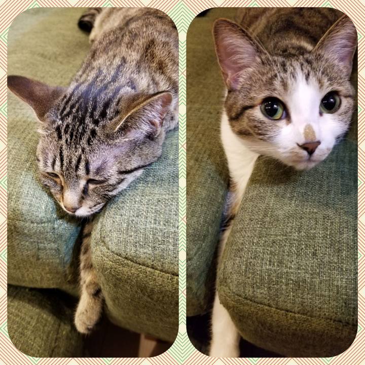 9d0320fc 120f 4c5d 9c66 b7681bcc40d1 1552319172481