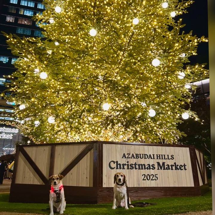 9d0352a7 5d87 4d37 9068 e69b36fa1673 1764553830115