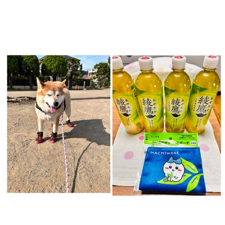 9d038498 bb25 4652 b213 673e20fda39a 1730853513930