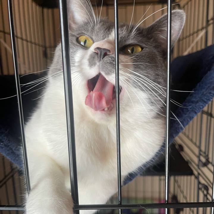 9d0392eb d14a 4eb3 8816 9e4246b47f23 1625977789253