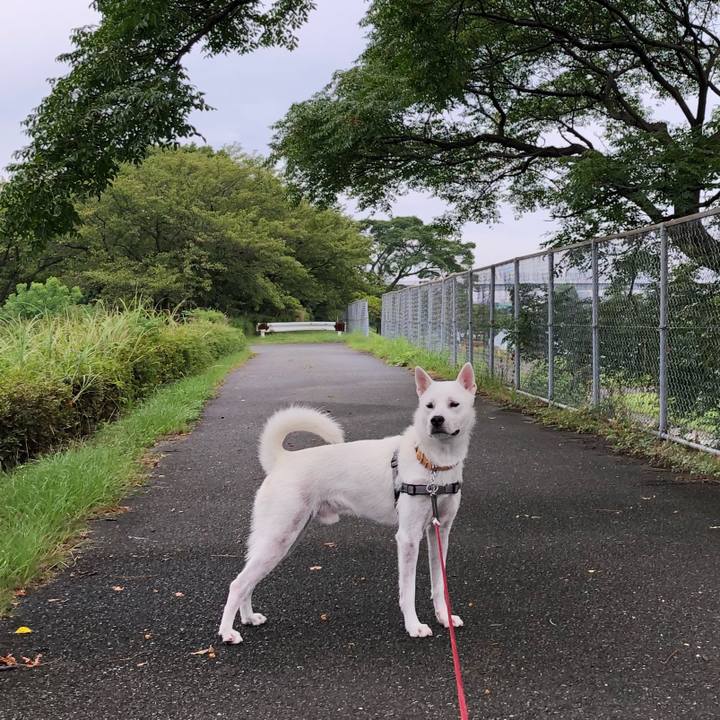 9d0393a0 7e18 4955 b9f2 aec54cfa0d19 1536363546949