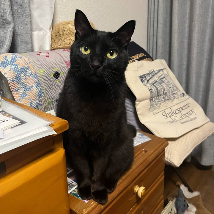 9d03b983 842d 4a37 9dd8 faa3a75452ca 1710515332143