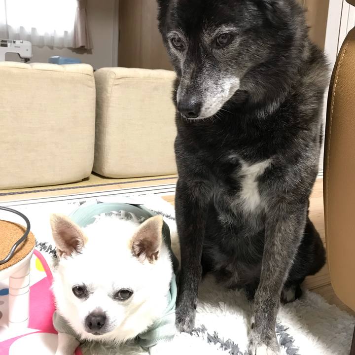 9d04076d e6b2 40d2 aabe 0d3a96181acf 1591615115405