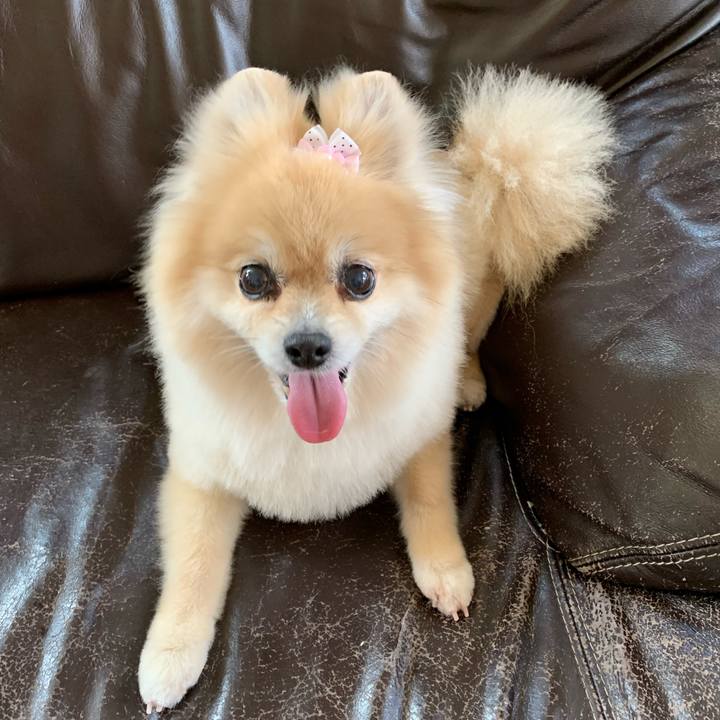 9d04367c 3cd8 40b4 b168 9d15b1e7c88e 1624161127842