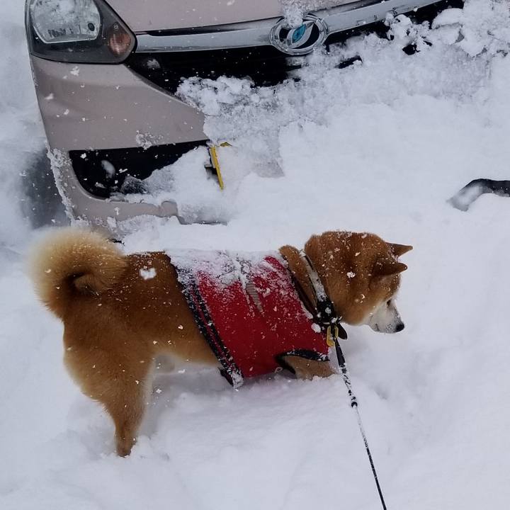 9d044160 e7f8 4bcd b1ef 968c78d907fd 1608094245619