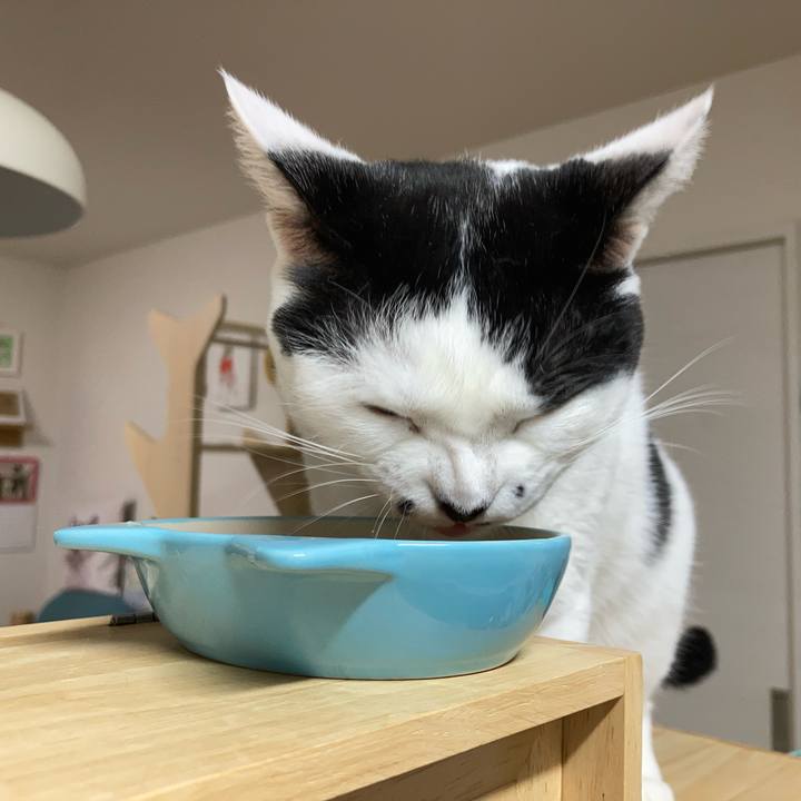 9d0462f2 55fd 4f0a 90ff b53791c7870d 1756932847452