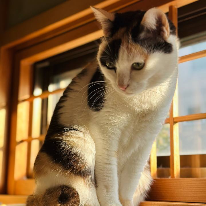 9d047dcf f36a 4822 a93e 1dc1efb60f9f 1672793051598