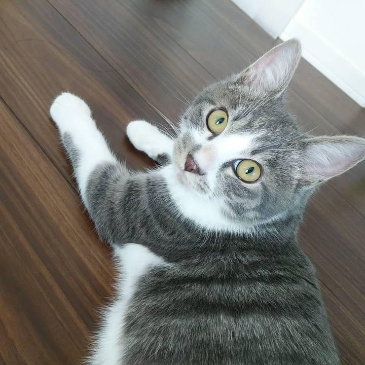 9d047eb2 a6ae 46a3 9538 b4f6d3c32ceb 1569893738956