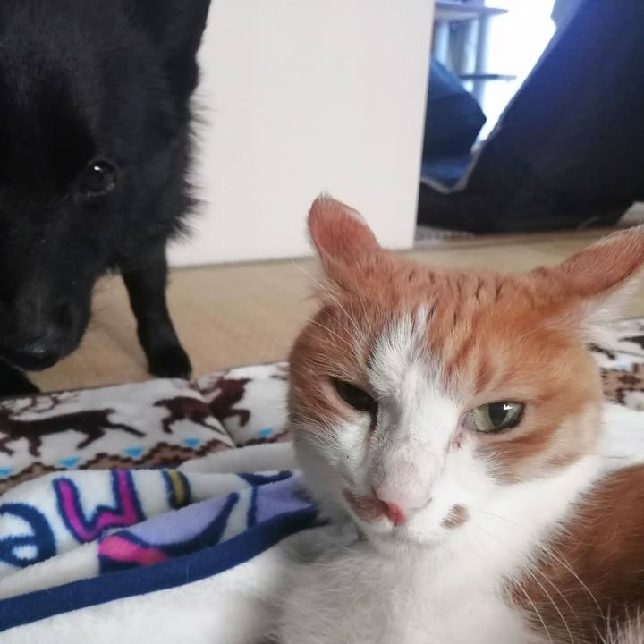 9d0484e8 6bef 46f3 bc07 d0ea20a8e4cb 1621749856579