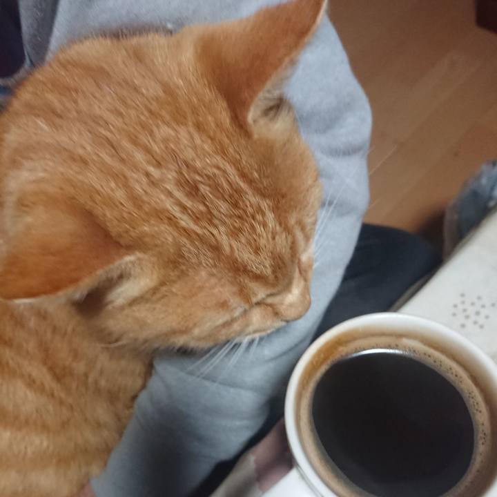 9d04b85f d694 4b53 ab14 6a6acdb93f24 1604951463623