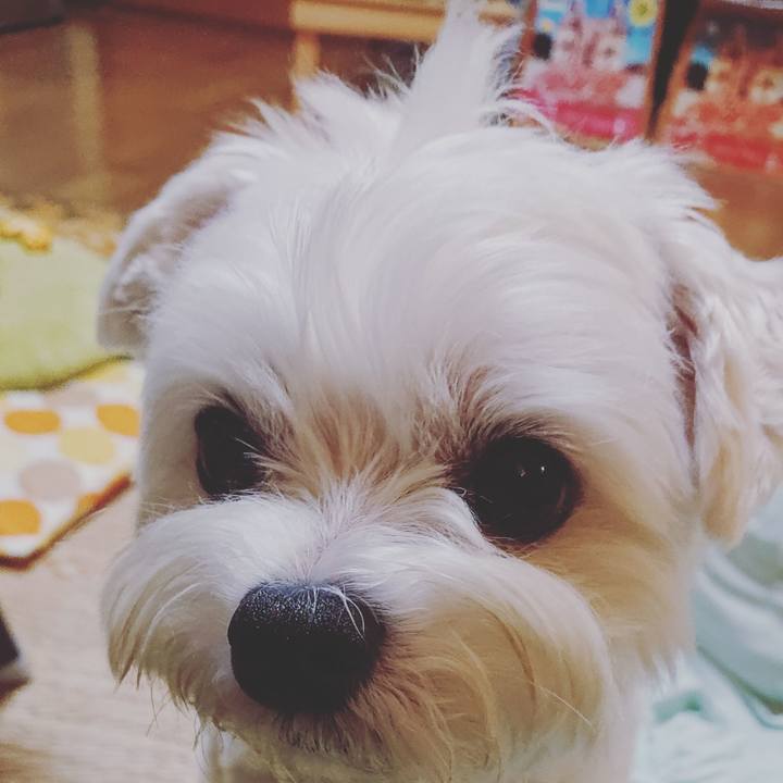 9d04ef2a 877d 47ee ad38 cd4becb50c2f 1594292272046