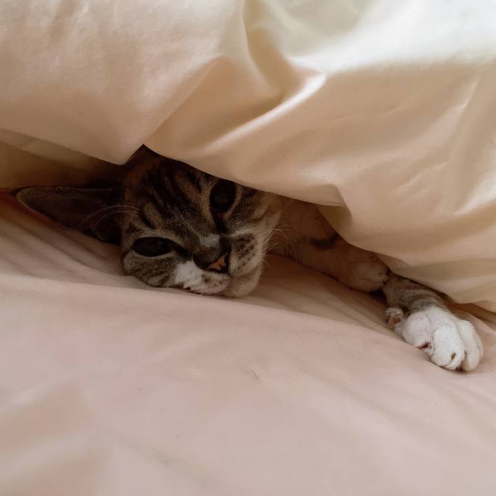 9d04f354 1a6b 4574 a8e6 26545500a16a 1608304718282