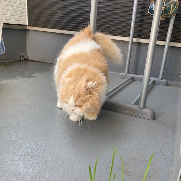 9d056ce6 6339 4d3a ba44 624436435ad0 1655049495817