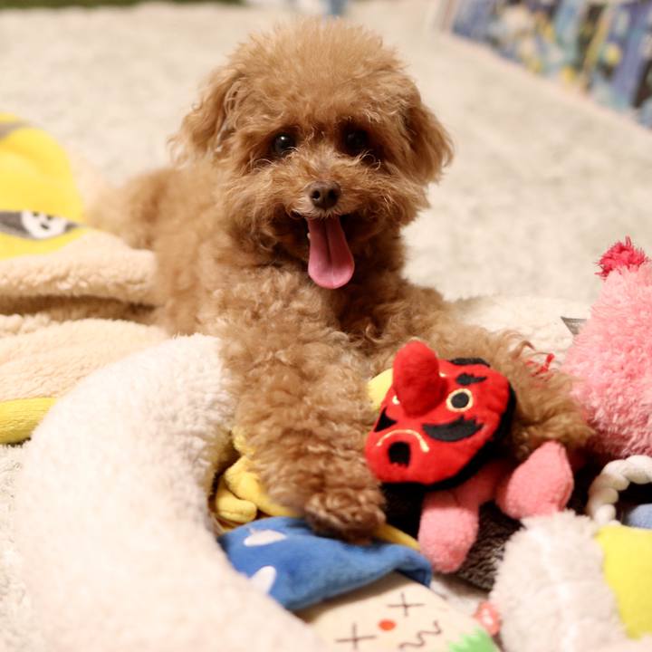 9d05b921 e040 4068 bb11 307982f42db1 1563447818368