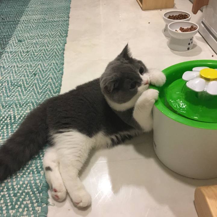 9d05b9c7 03c8 4893 9f26 f1d349ee5863 1508044426456