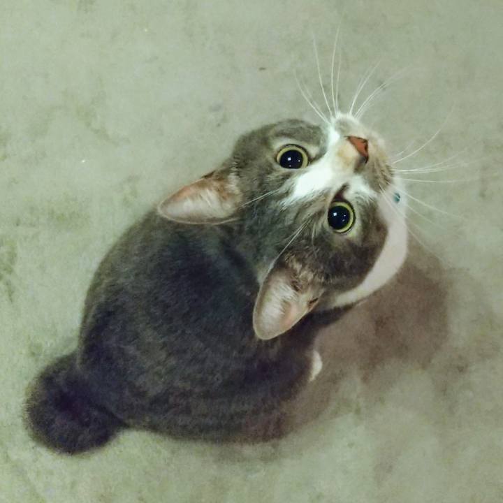 9d05d023 f072 4cd9 87f3 bd46bc7057b0 1630065351117