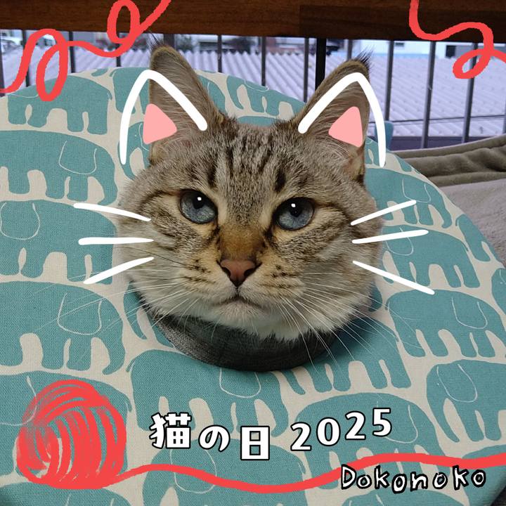 9d05d283 faa7 45a5 89f7 38e76ecd0c7b 1740298984128