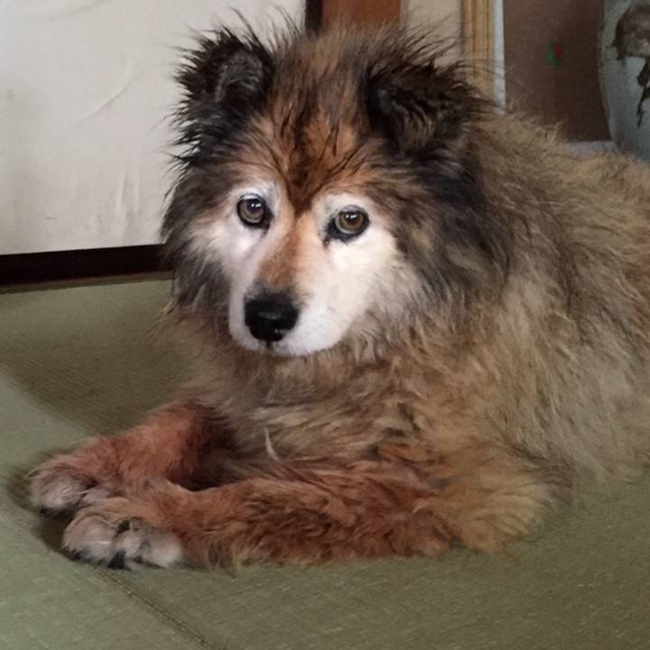 9d061067 329e 4af0 b1e7 e18afd9d8b5e 1568422829535