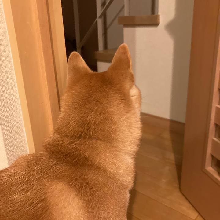 9d066567 6497 4edb b237 35876a394ef6 1735386563825