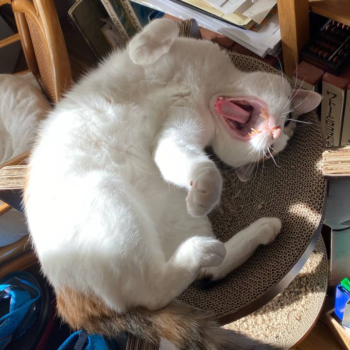 9d066a66 85fe 485e 9515 870823d54f79 1767834540691