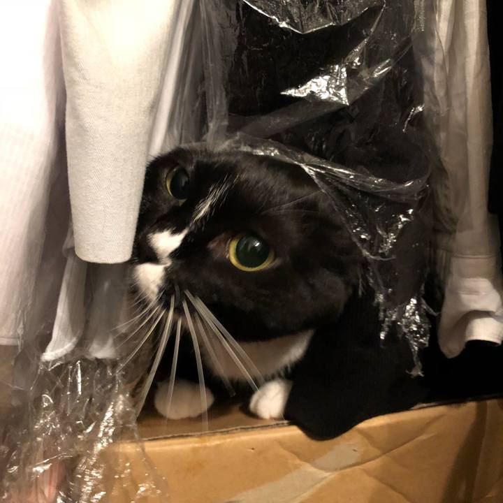 9d067140 0bf0 49c0 8c17 be0288bf1dba 1513029403505