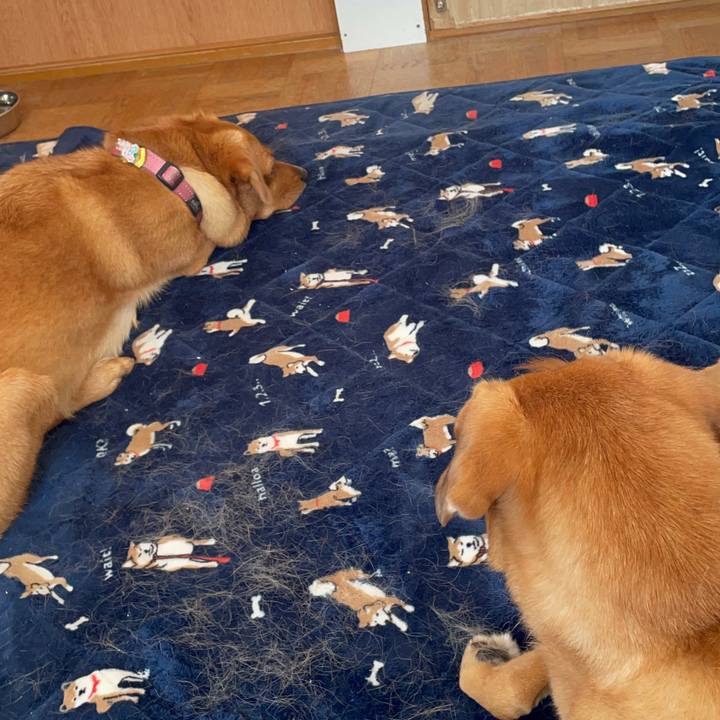 9d06dd8f 8fd4 477a 91be fa95aa8064b0 1627291457691